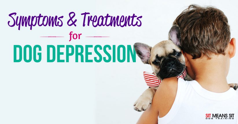 Is My Dog Depressed?