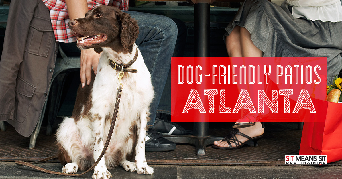 Dog-Friendly Patios in Atlanta