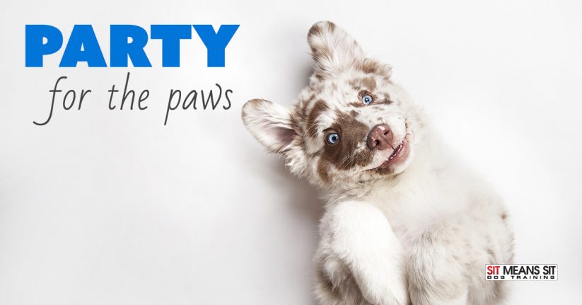 Party for the Paws Atlanta