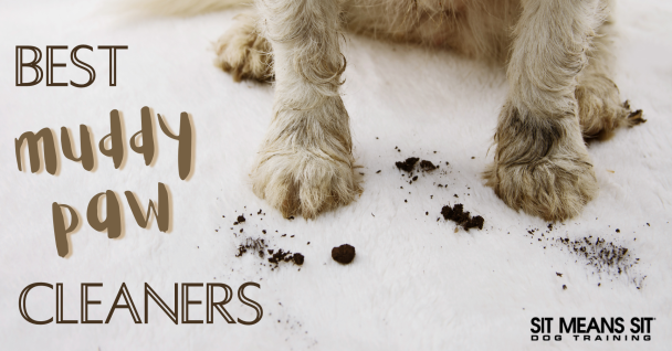 Best muddy paw cleaners for dogs poster