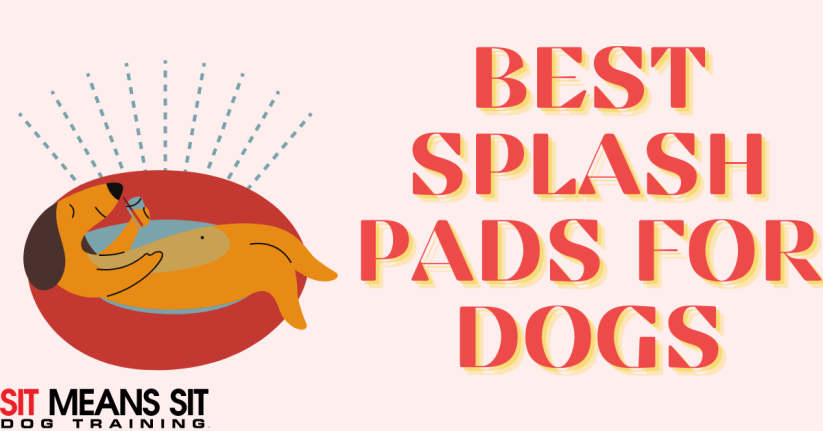 The Best Splash Pads For Dogs