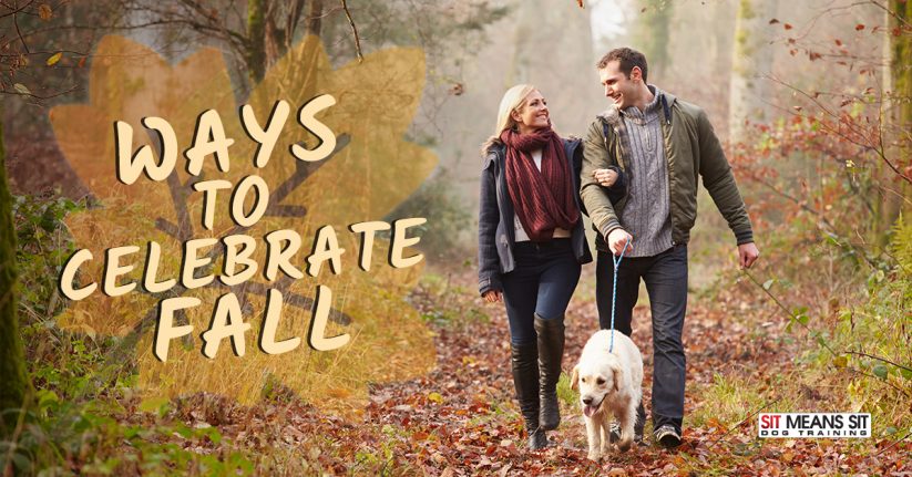 Ways to Celebrate Fall with Your Dog