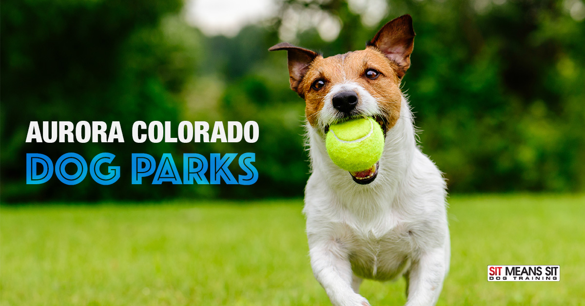 Aurora Colorado Dog Parks