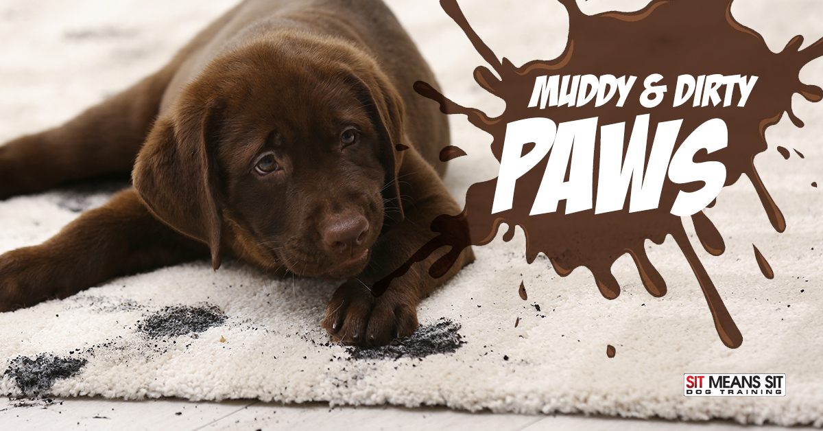 Tips to keep your pets muddy paws outdoors
