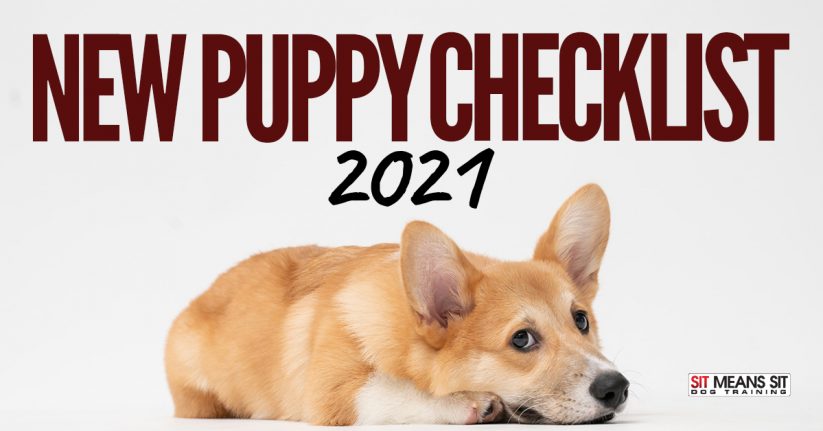 New Puppy Checklist 2021