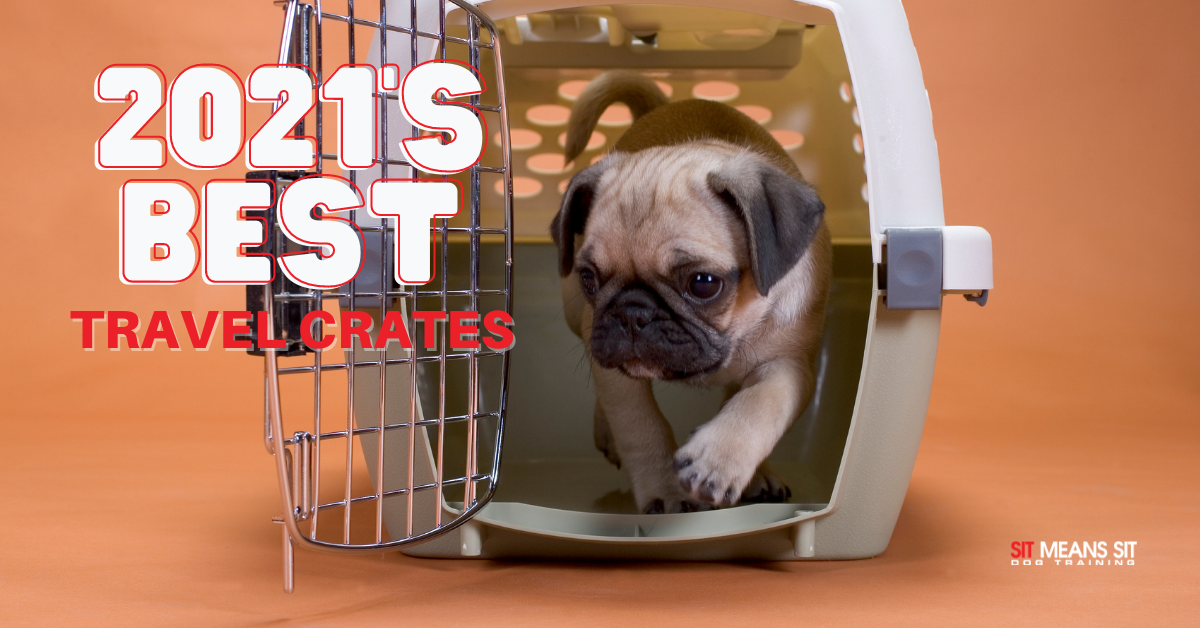 https://sitmeanssit.com/dog-training-mu/aurora-parker-colorado/files/2021/05/the-best-dog-travel-crates-of-2021.png