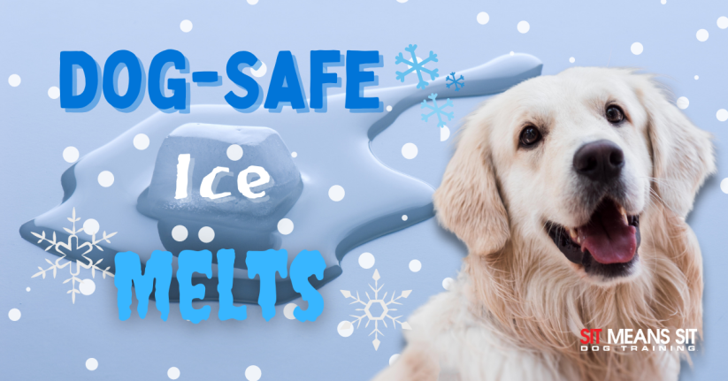 Why It's Important to Use Pet-Safe Ice Melts