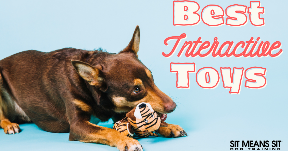 Pet zone IQ TreatBall Activity Treat Dispenser Dog Toy 4 In