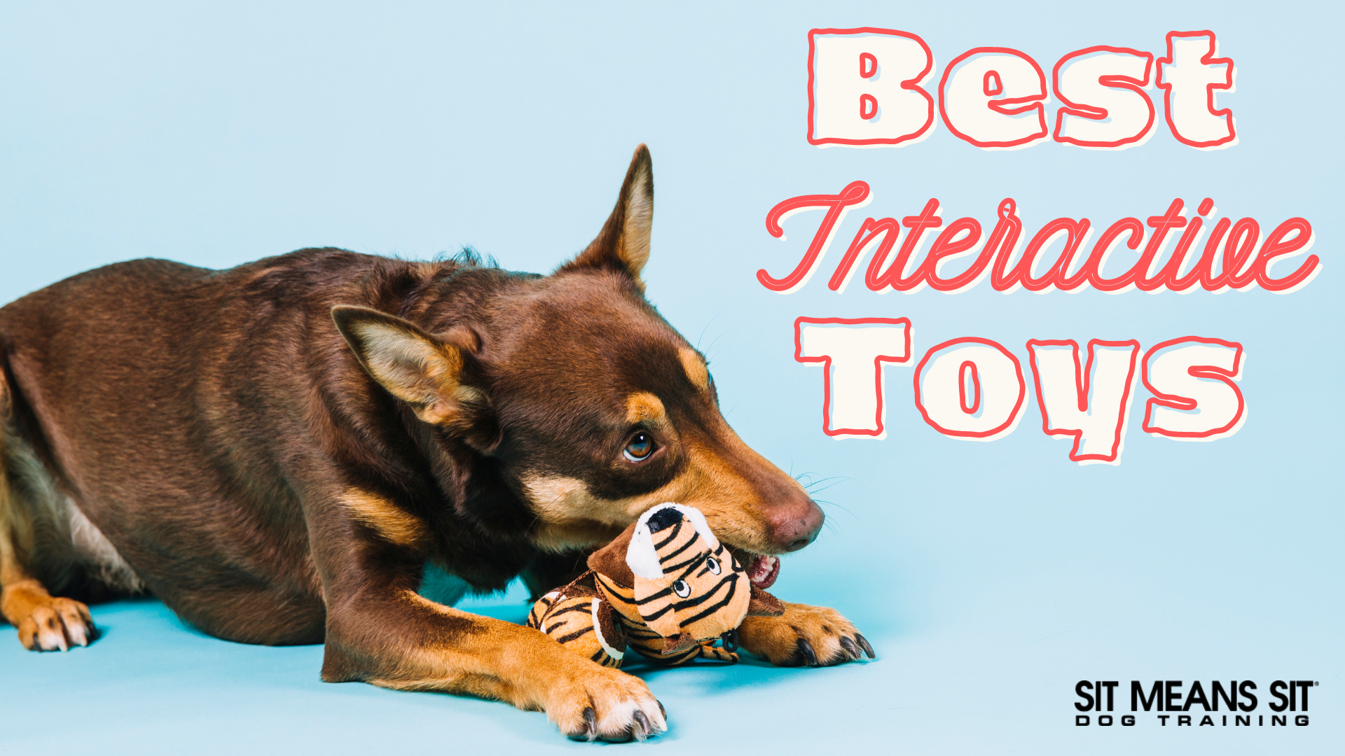 TRIXIE Dog Activity Flip Bone Dog Puzzle Toy, Dog Treat Puzzle, Interactive  Play Enrichment Toys