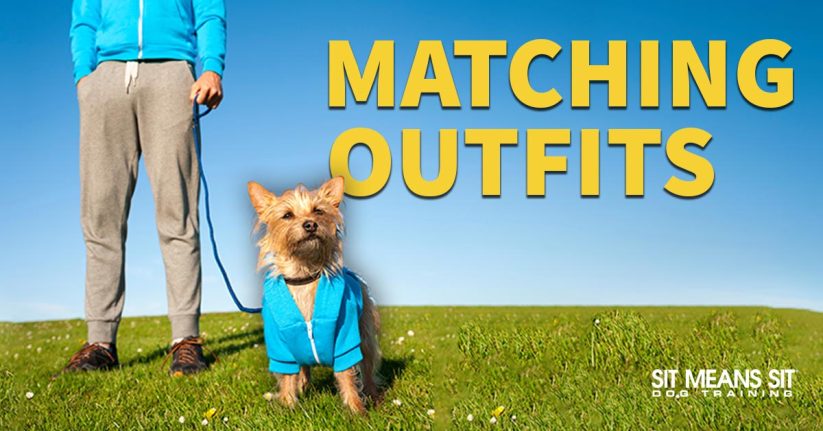Matching Outfits For You & Fido