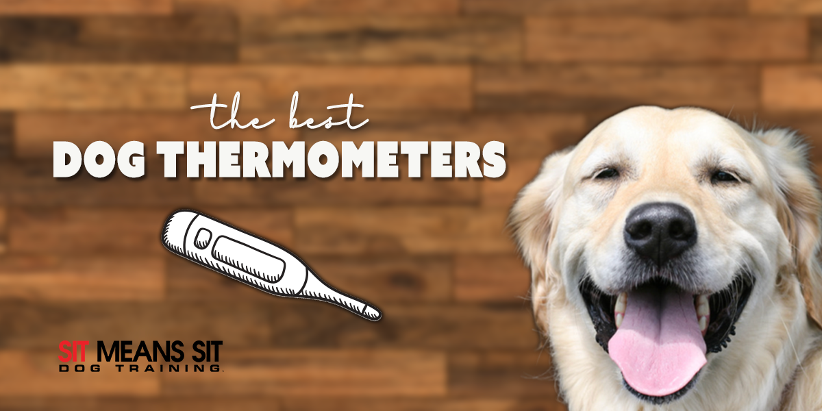 https://sitmeanssit.com/dog-training-mu/aurora-parker-colorado/files/2023/09/the-best-thermometers-for-dogs.png