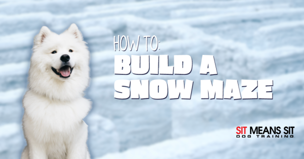 How To Build Your Dog a Snow Maze