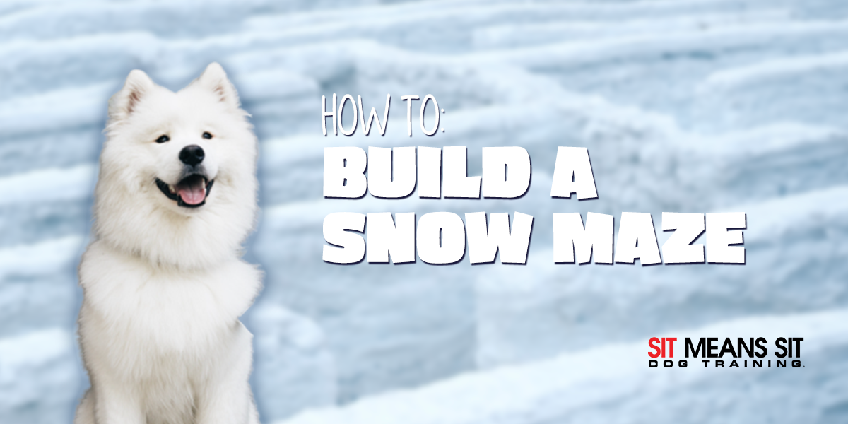 How To Build Your Dog a Snow Maze