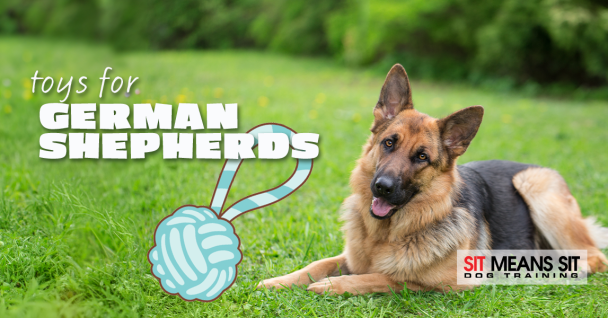 The Best Dog Toys for German Shepherds