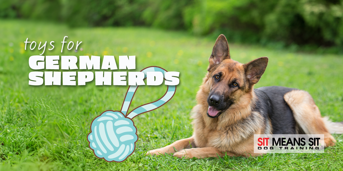 The Best Dog Toys for German Shepherds