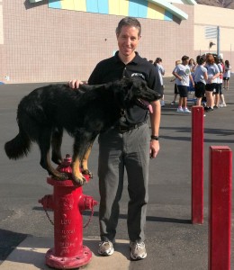 Germand Shepherd Dog Mix standing on a fire hydrant
