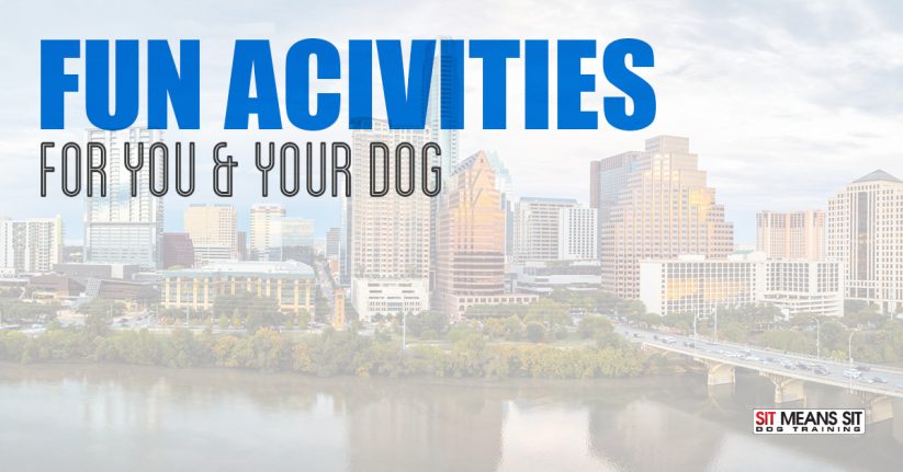 Fun activities for dogs in Austin Texas.