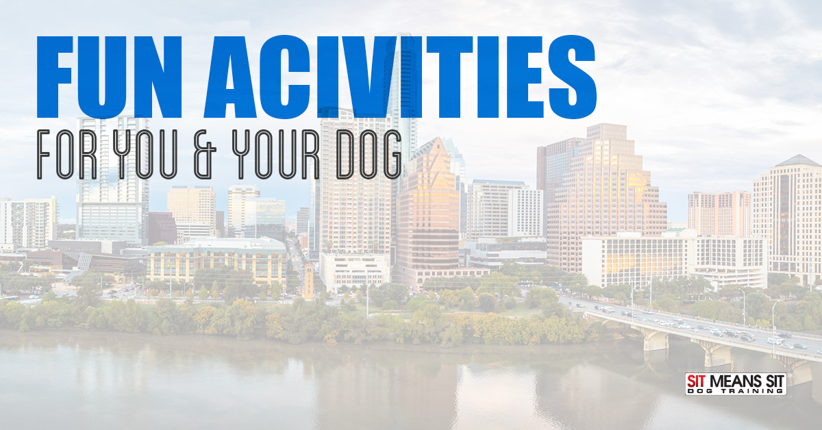 Fun activities for dogs in Austin Texas.