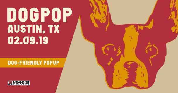 DogPop Festival Coming to Austin