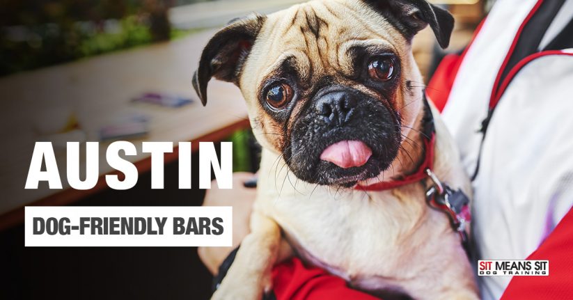 Austin Dog-Friendly Bars