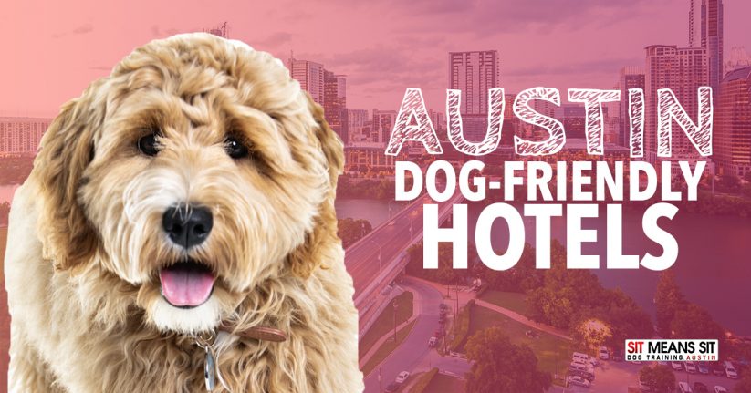 Austin Dog-Friendly Hotels