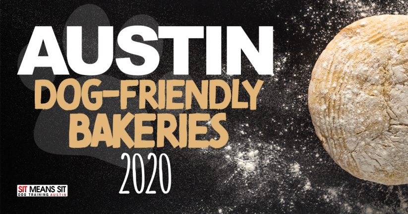 Austin Dog-Friendly Bakeries 2020