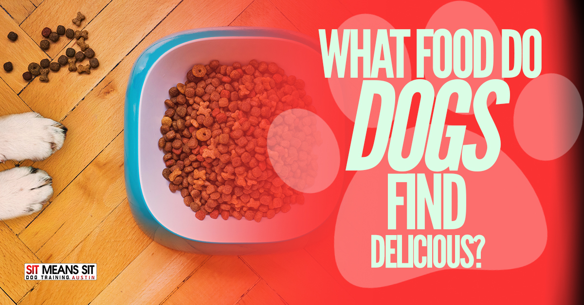 What Food Do Dogs Find Most Delicious?