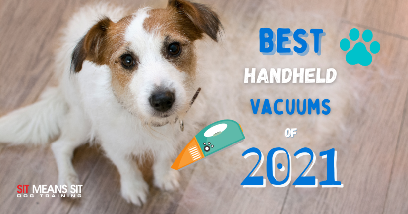 Best Handheld Dog Vacuums of 2021