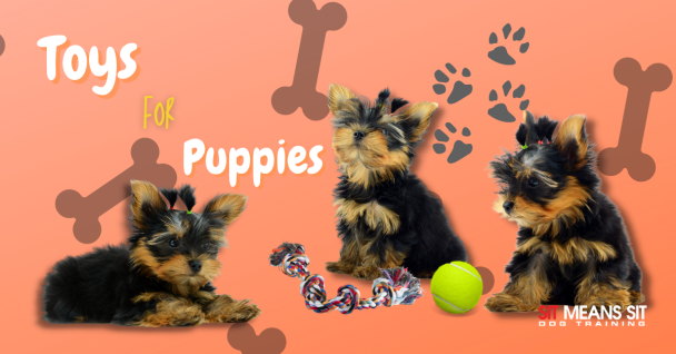 https://sitmeanssit.com/dog-training-mu/austin-dog-training/files/2022/02/the-best-toys-for-puppies-608x318.png