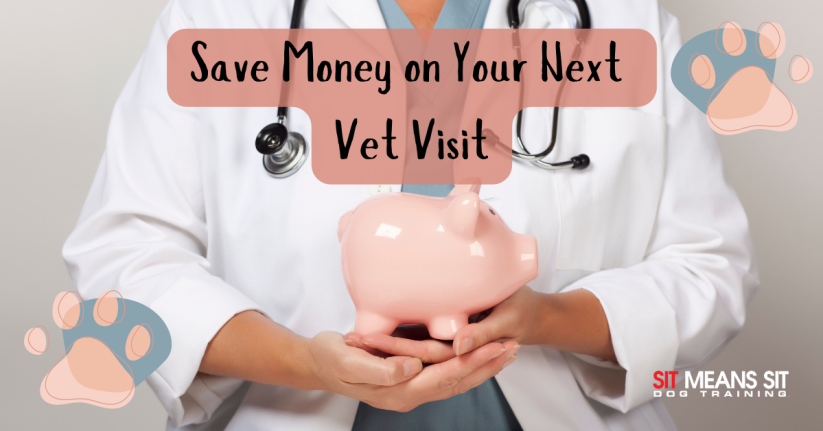 How You Can Save Money on Your Next Vet Visit