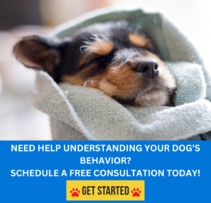 why do dog's behave the way they do?