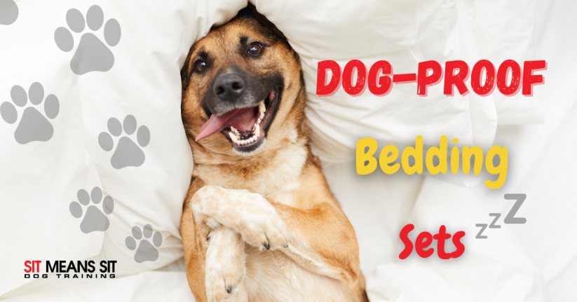 Dog-Proof Bed Sets
