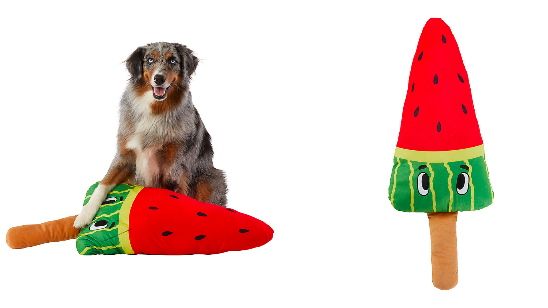 The Best Summer Dog Toys