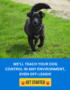 OFF-LEASH CONTROL