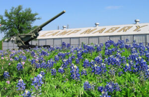 camp mabry blue bonnets