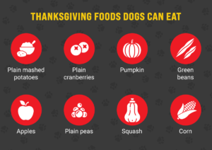 Thanksgiving foods dogs can eat
