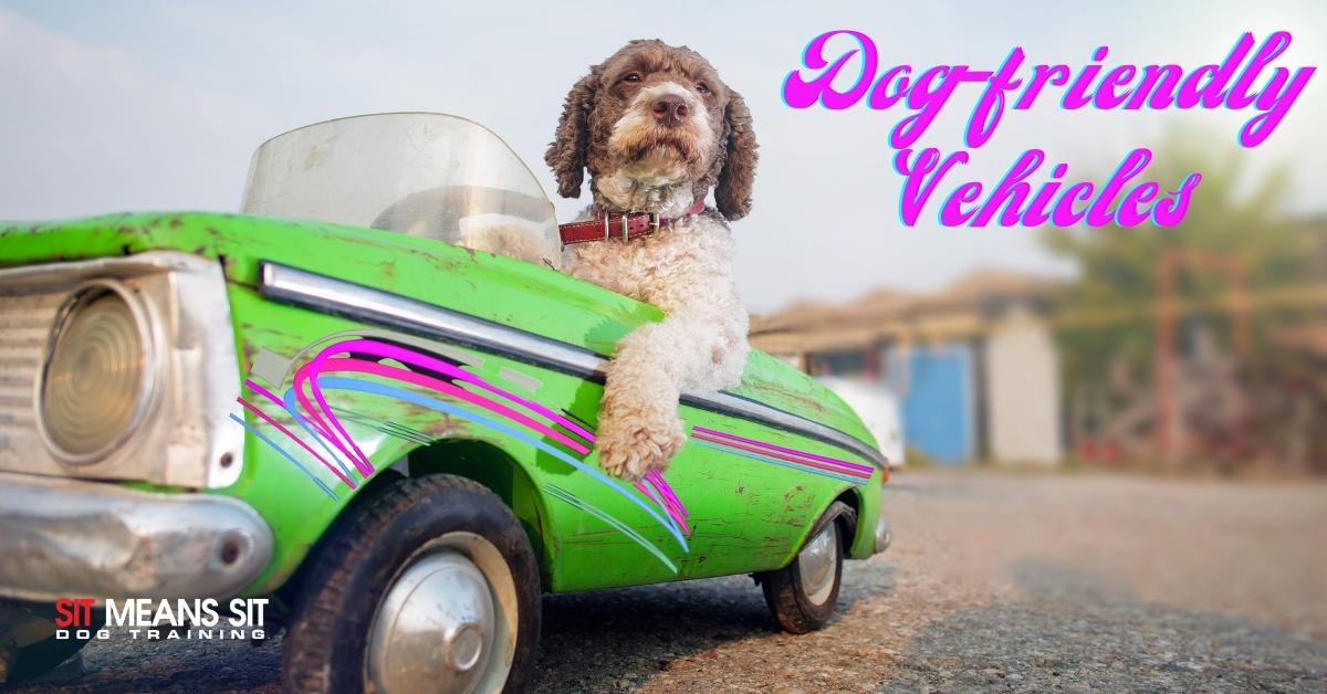 A dog sitting in a mini car with the text dog friendly vehicles