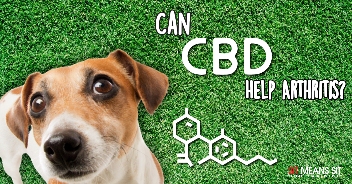 Can CBD help arthritis poster