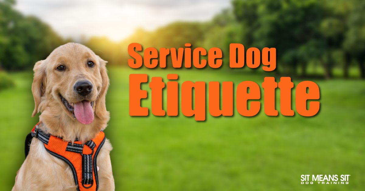 A dog smiling with the text service dog etiquette poster