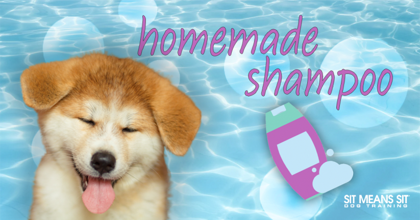 How To Make Homemade Dog Shampoo