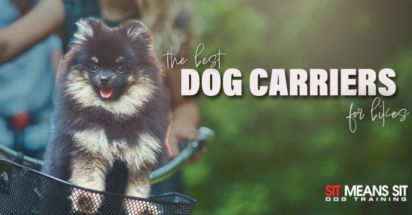 The Best Dog Carriers For Your Bike in 2023