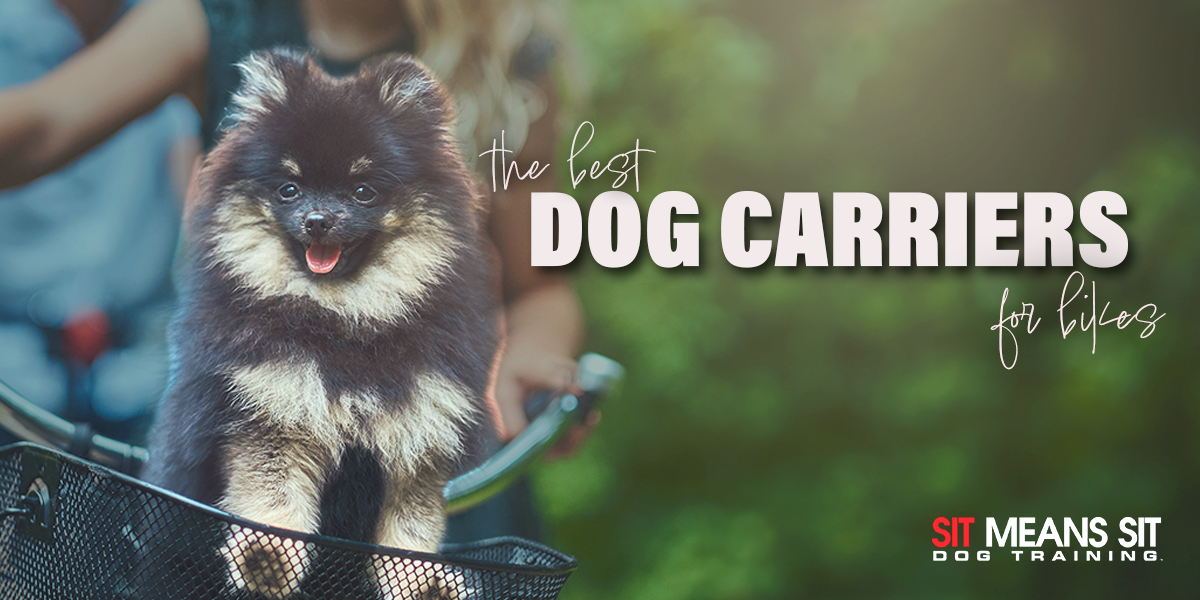 The Best Dog Carriers For Your Bike in 2023