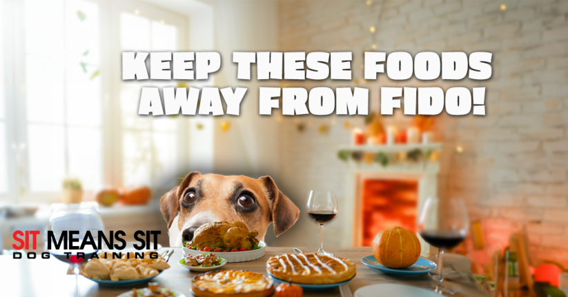 Keep These Thanksgiving Foods Away From Fido