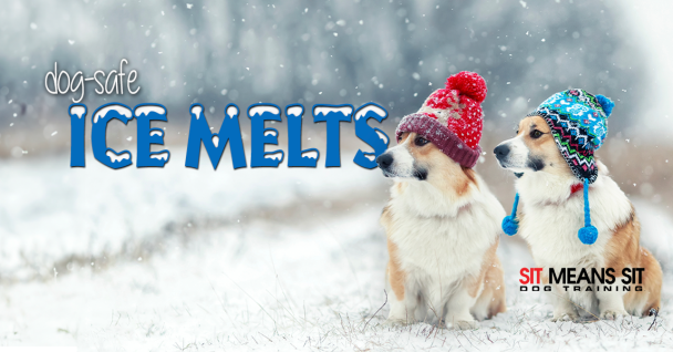 Which Ice melts Are Safer To Use Around dogs?