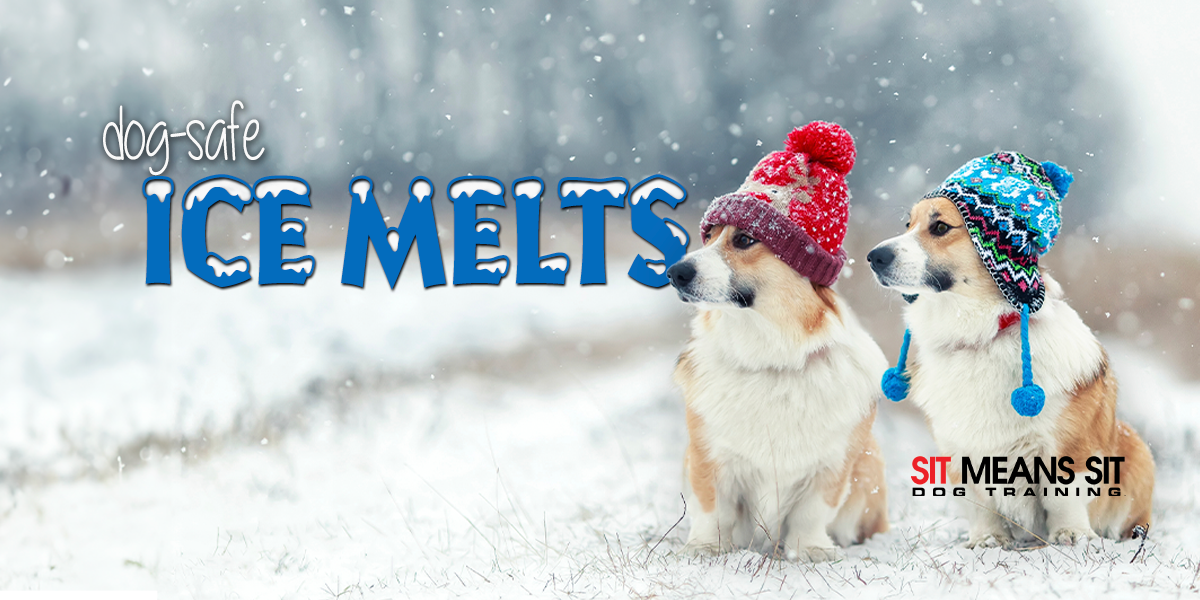 Which Ice melts Are Safer To Use Around dogs?