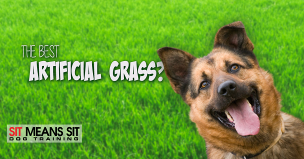 What's The Best Artificial Grass For Dogs?