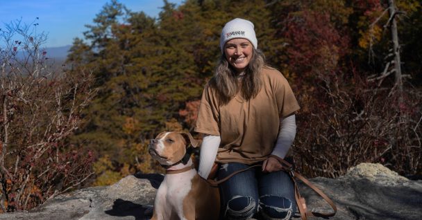 Dog Trainer Charlotte - Sit Means Sit Dog Training