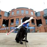 Ripken the bat dog in front of Durham Bulls stadium