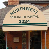 nw animal hospital