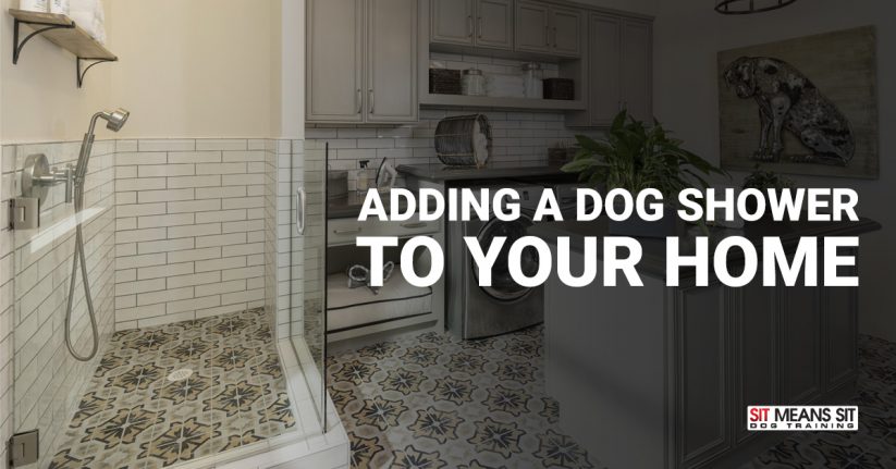 Adding a Dog Shower to Your Home